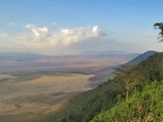 5 reasons to remain the rim in Ngorongoro Crater