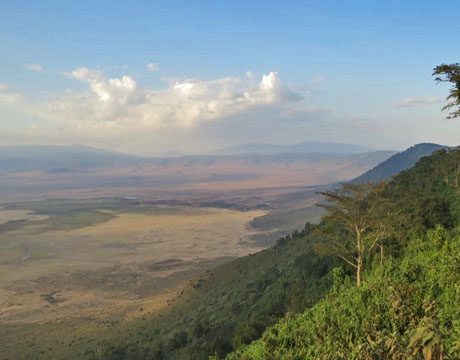 5 reasons to remain the rim in Ngorongoro Crater