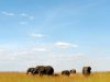 5 top tips to obtain your secret Tanzania
