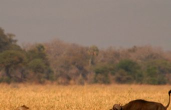 Tanzania's top 5 from the beaten track