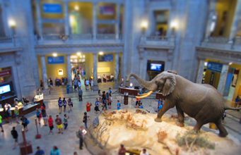 The best free sites in the US