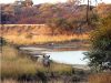 An African bushveld breakaway: Ke Monate!