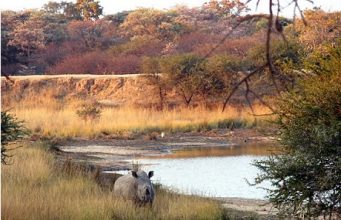 An African bushveld breakaway: Ke Monate!