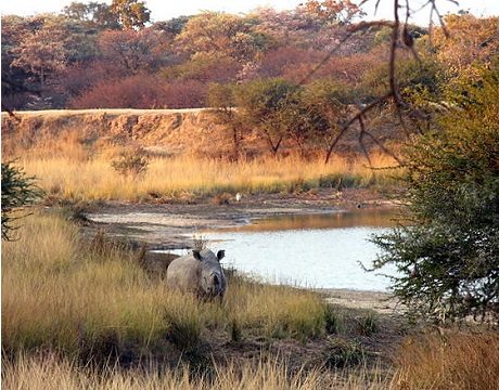 An African bushveld breakaway: Ke Monate!