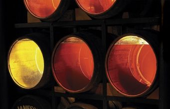 5 of the best Dublin community experiences