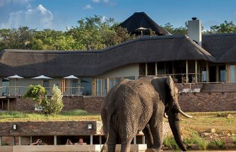 Mhondoro Game Lodge starts in Welgevonden Game Pre-book, South Africa