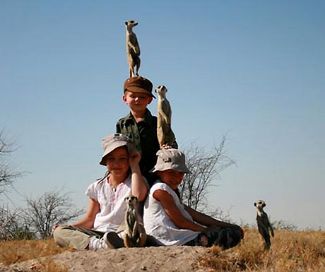 Meerkat lookout from Camp Kalahari in Botswana