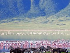 6 destinations to view in 2016