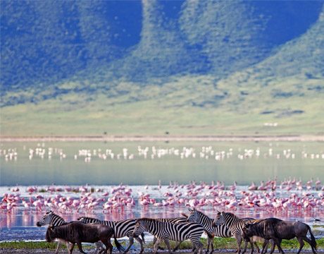 6 destinations to view in 2016