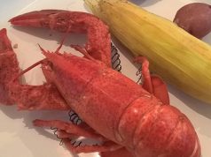 10 things to get pleasure from in Maine