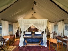 Africa's top 5 new camps to visit around 2017