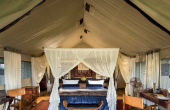 Africa's top 5 new camps to visit around 2017