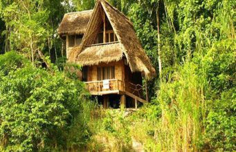 Top 5 hidden gems on the Amazon rainforest