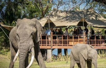5 of the best things to do along the Zambezi River