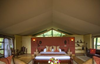 Top 10 parks to travel to in Kenya together with Tanzania