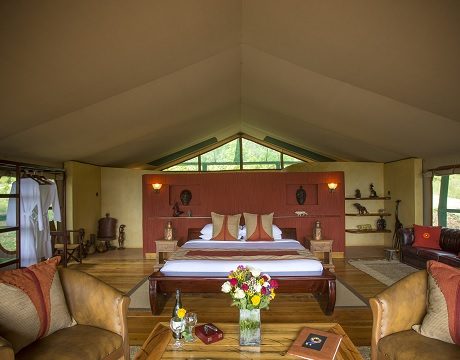 Top 10 parks to travel to in Kenya together with Tanzania