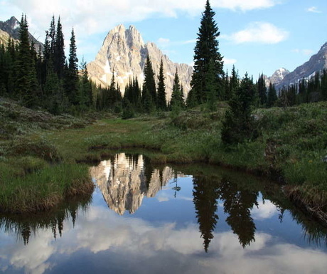 Drive the magnificent Icefields Parkway