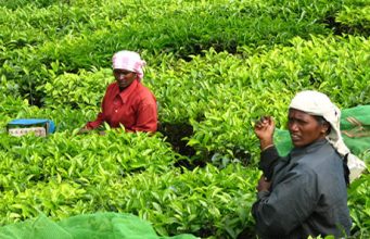 Top 6 Winter weather sun destinations