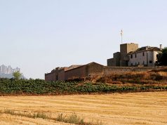 3 wine attractions around Barcelona you won't want to overlook