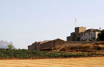 3 wine attractions around Barcelona you won't want to overlook