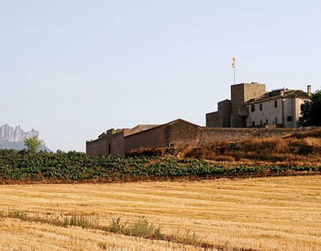 3 wine attractions around Barcelona you won't want to overlook