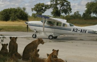 Planes, trains and luxury safari vehicles