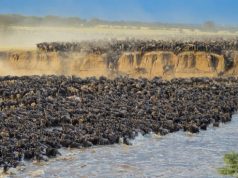 Africa's top 10 ordeals