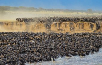 Africa's top 10 ordeals