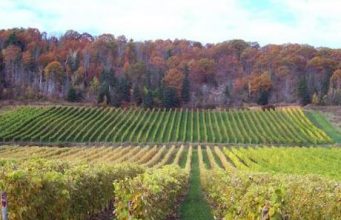 5 fantastic solutions to experience the Okanagan Valley