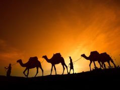 5 days of Christmas in Africa