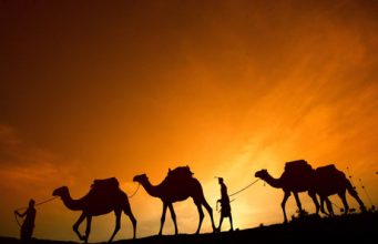 5 days of Christmas in Africa