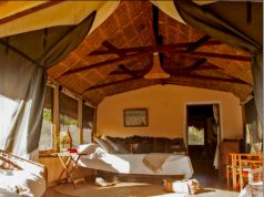 Kenya's top 5 household safari lodges