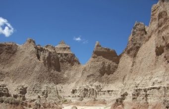 3 reasons why dinosaur themed fans should pay a visit to Alberta