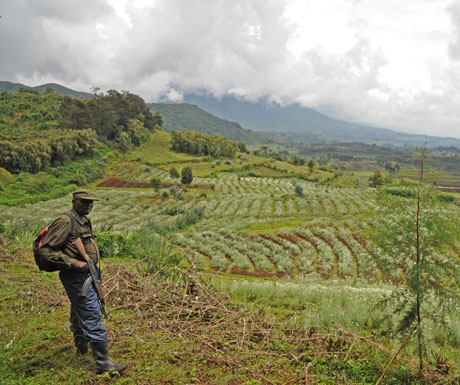 rwanda-ranger