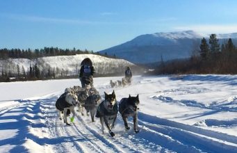 Top 10 reasons to wintertime in the Yukon… for real!