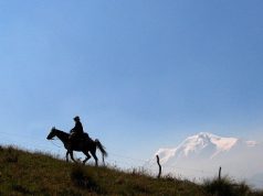 Top 5 horseback riding goes through in Ecuador