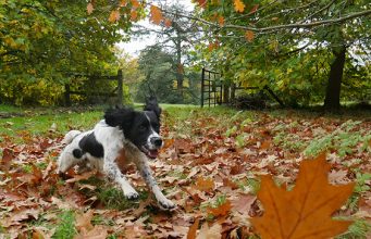 4K photography – now you may capture the perfect moment every time!