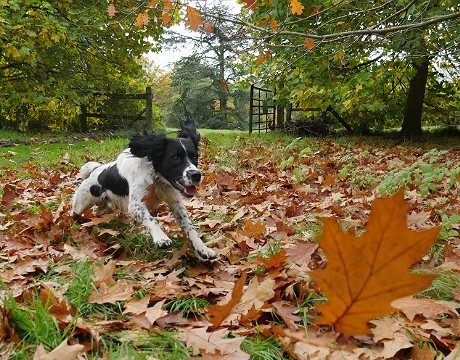 4K photography – now you may capture the perfect moment every time!