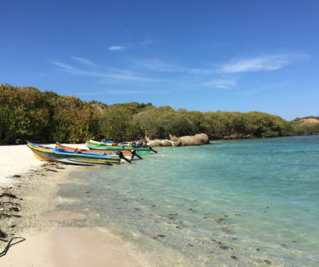 Pigeon Island National Park