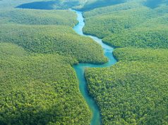 5 wonderful Peru take a trip ideas (that aren'capital t Machu Picchu)