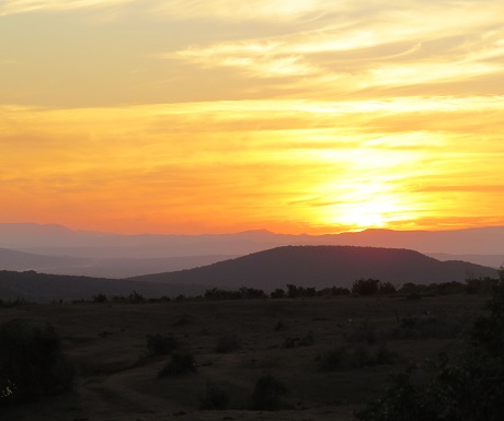 Colourful sunset in Addo Elephant National Park, South Africa