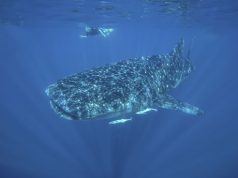 The best places to travel to this season