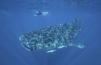 The best places to travel to this season