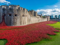 Stunning display of poppies returning to London to celebrate peace