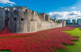 Stunning display of poppies returning to London to celebrate peace