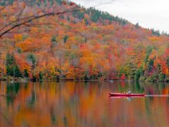 You don’t be aware of the real Maine unless you’ve experienced these 5 things