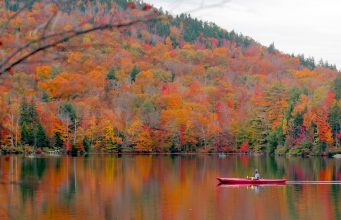 You don’t be aware of the real Maine unless you’ve experienced these 5 things