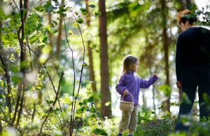 11 signs you had been raised using a mom from Maine