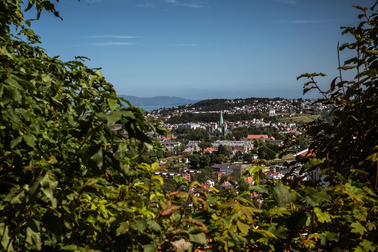 St Olavs Way city view through greenery