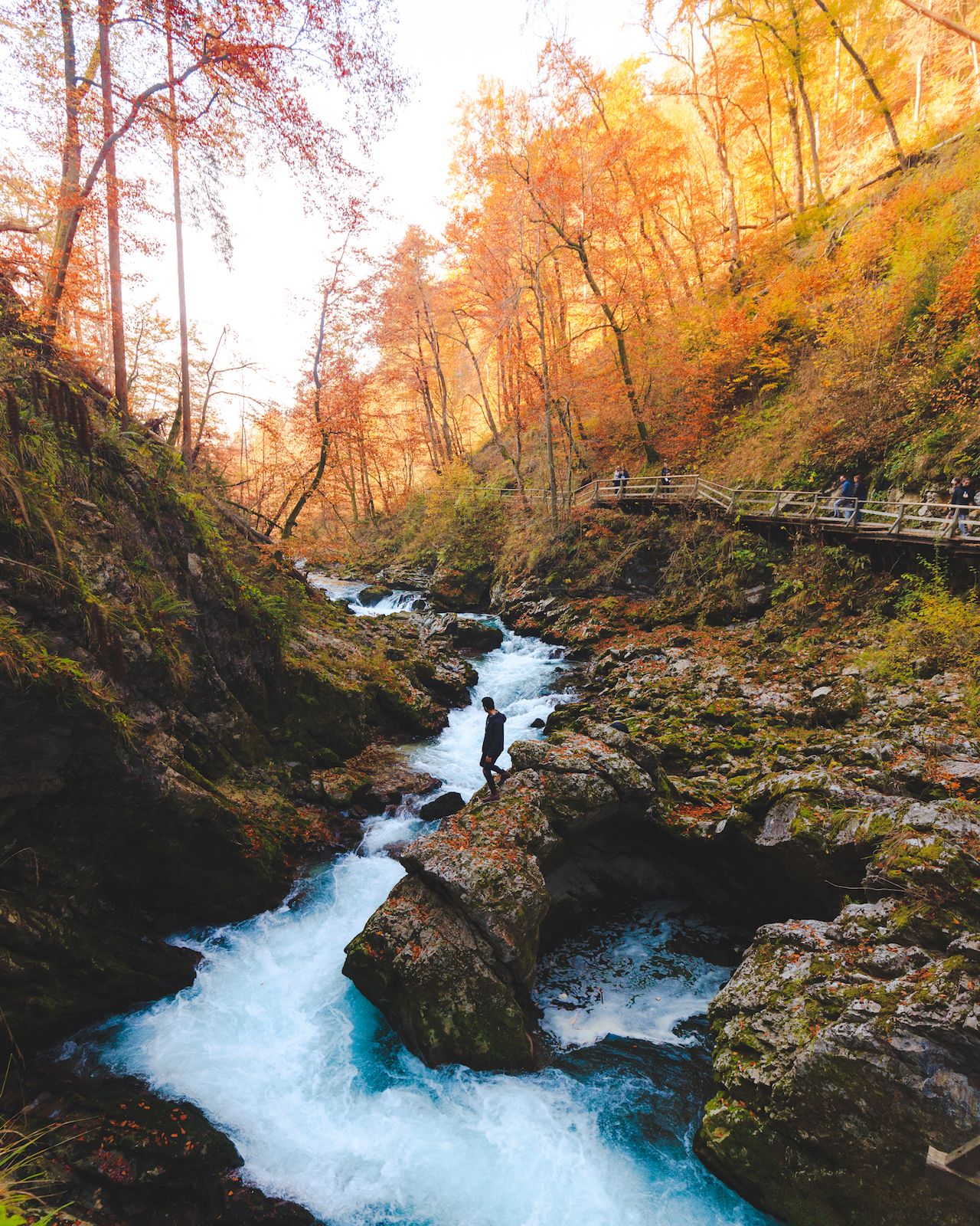 Vintgar Gorge, Slovenia